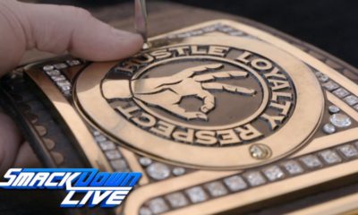 Smackdown WWE Championship John Cena Side Plates