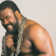 WWE WWF Junkyard Dog
