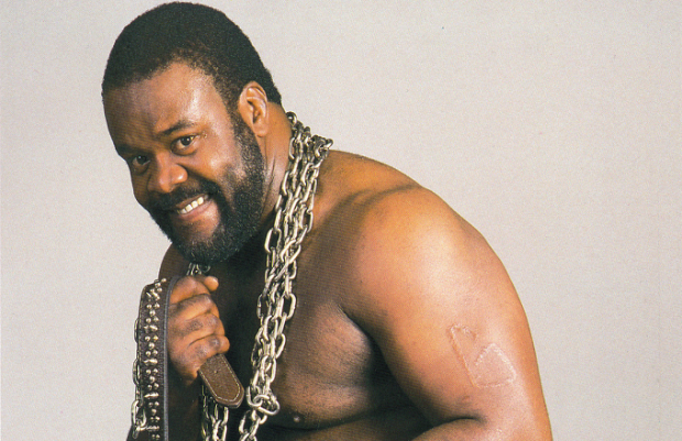 WWE WWF Junkyard Dog