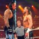 Undertaker Shawn Michaels