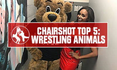 Brandi Rhodes Top 5 Wrestling Animals