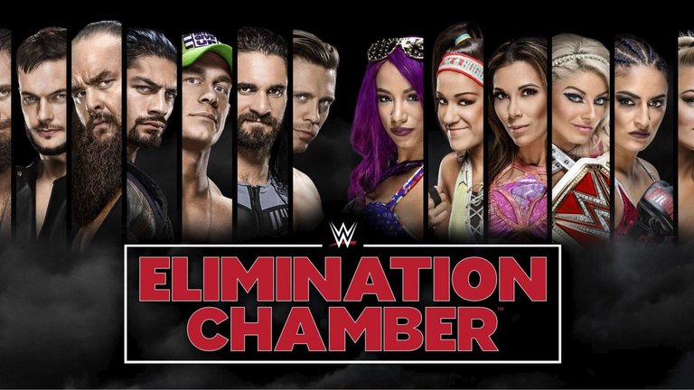 WWE Elimination Chamber Participants