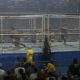 Fall Brawl 1995