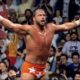 WWF Macho Man Randy Savage