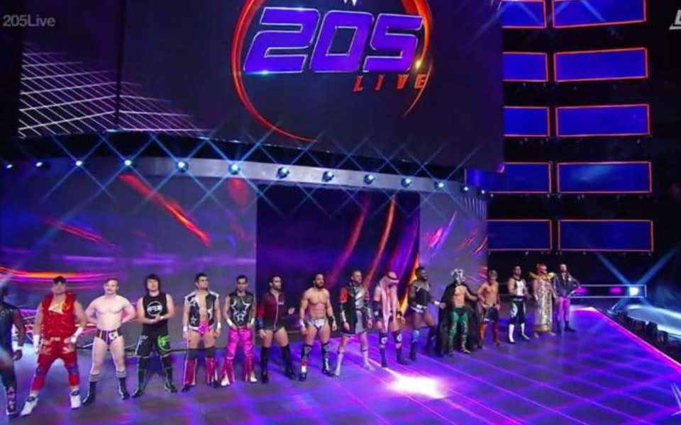 WWE 205 Live Competitors