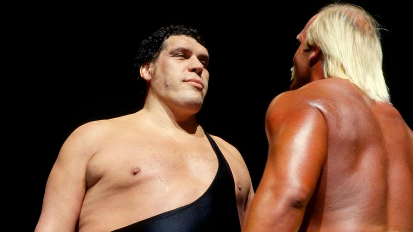 WrestleMania 3 Andre The Giant Hulk Hogan
