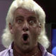 Ric Flair WOOO Heel