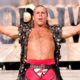 Shawn Michaels WWE