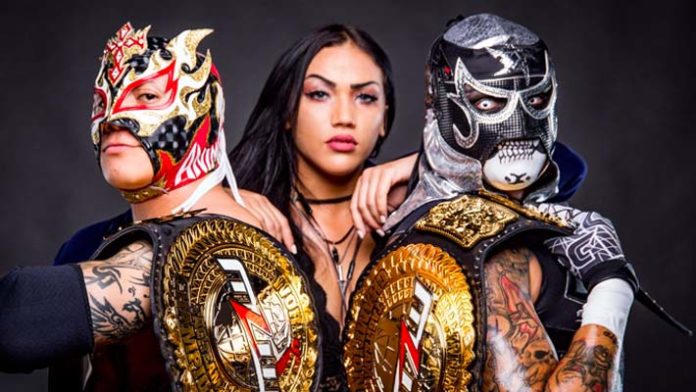 Lucha Brothers