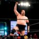 Beer City Bruiser