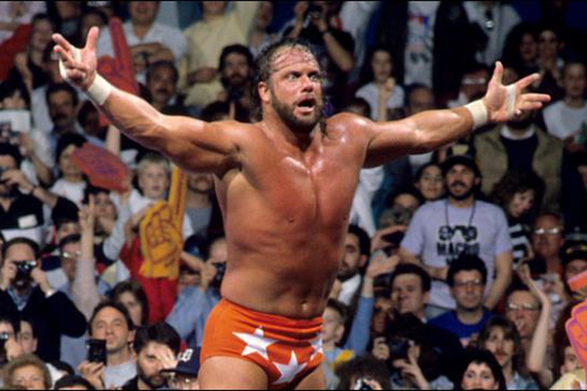 Macho Man Randy Savage WWE Wins and Losses