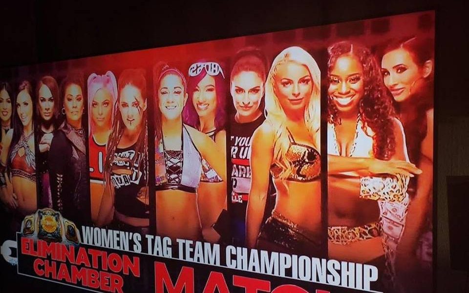 Women's Elimination Chamber Match