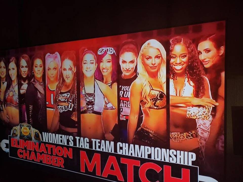 Women's Elimination Chamber Match