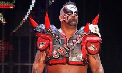 Road Warrior Animal