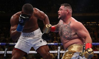 Andy Ruiz Jr WWE