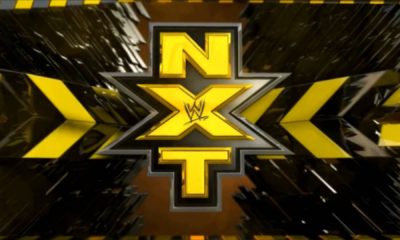 WWE NXT Logo 2