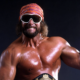 Randy Savage WWF Championship