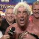 Ric Flair WWF Championship