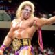 Ultimate Warrior WWF Championship