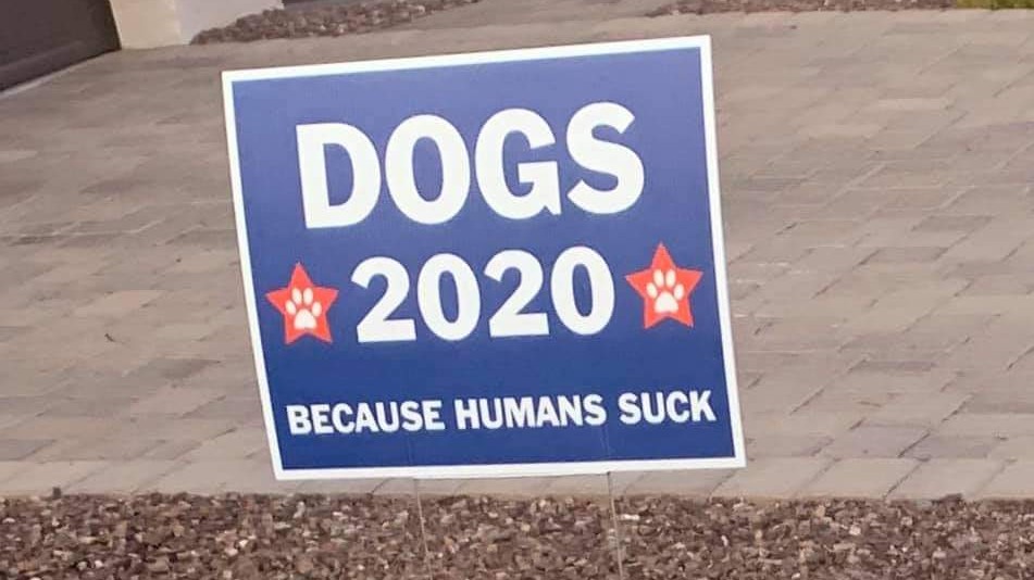 VOTE Dogs 2020
