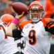 Carson Palmer NFL