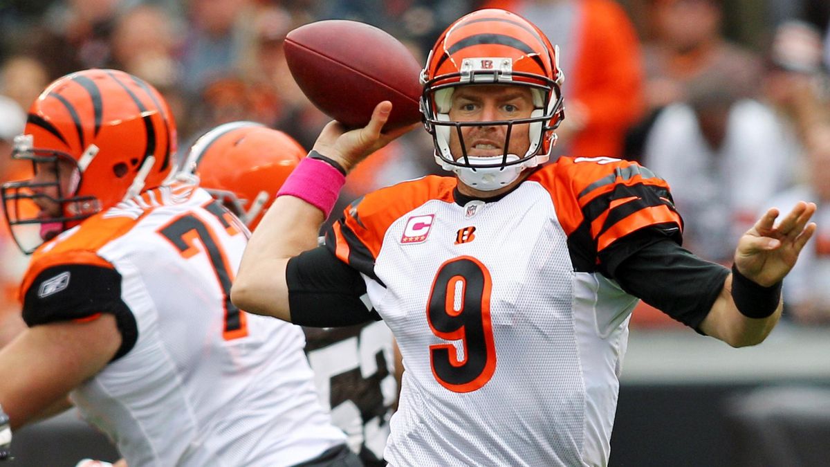 Carson Palmer NFL