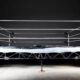 Wrestling Ring