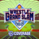 NJPW MetLife Dome