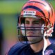 Cincinnati Bengals David Klingler