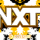 NXT White 'n' Gold Era