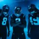 Carolina Panthers NFL