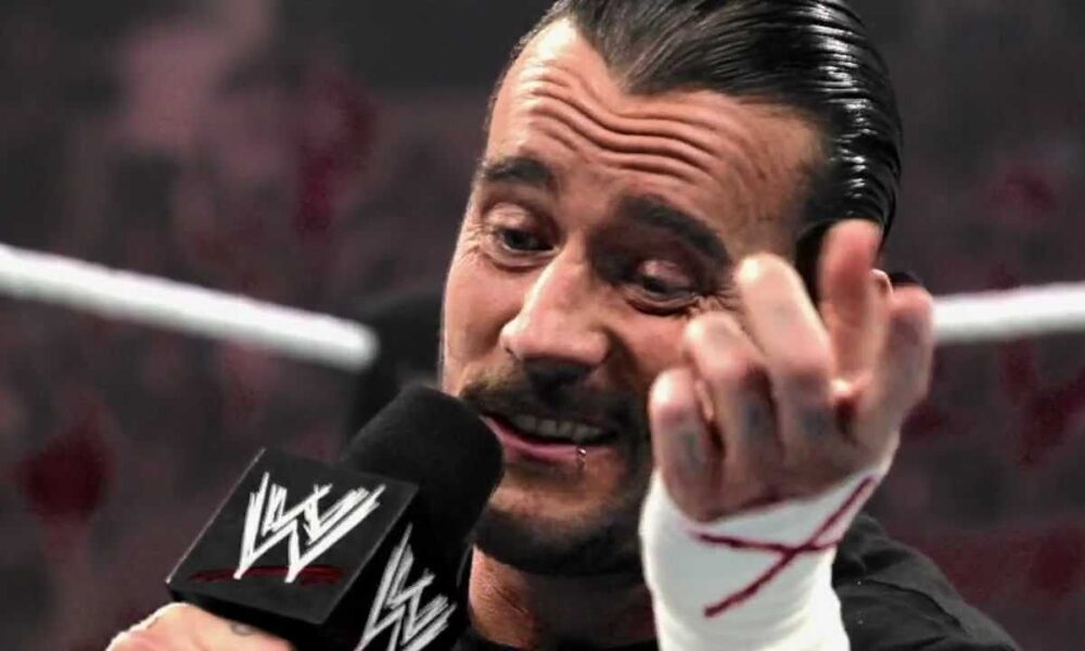 CM Punk Wrestling Babies