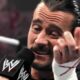 CM Punk Wrestling Babies